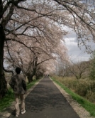 Tomoya Sato